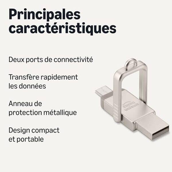 Découvrez la clé USB Amazon Basics double port 512GB en champagne argenté : performances, design et capacité de stockage pour vos besoins quotidiens
