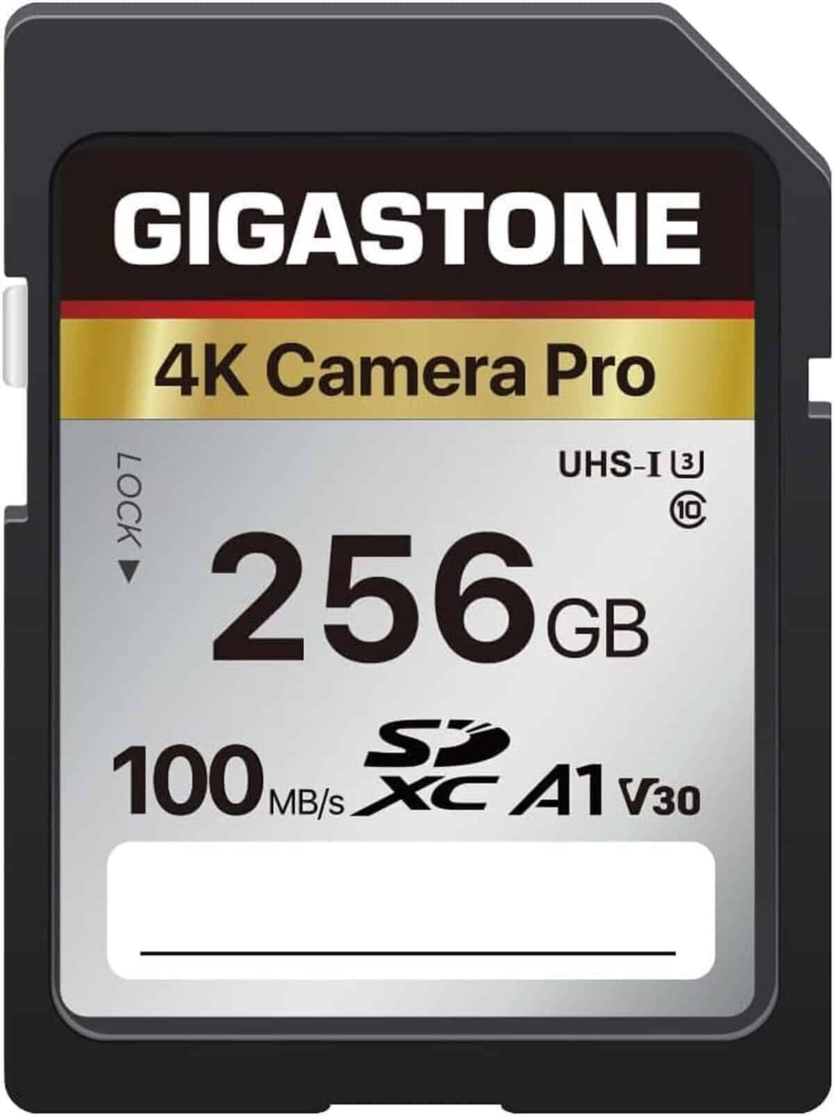 Test : carte Mémoire Gigastone Sdxc 256 Go, transfert Rapide 100 Mo/s